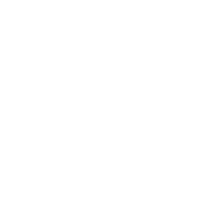 logo-maison-levasseur